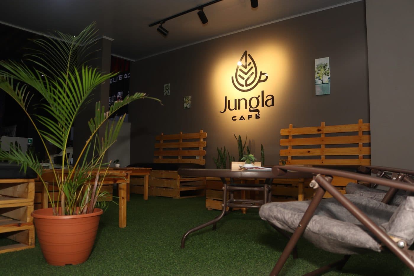 Rincón de Jungla Café